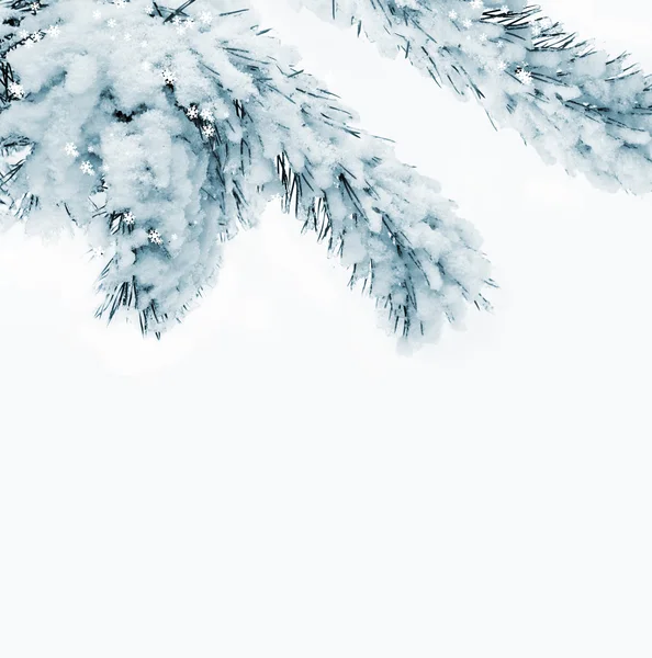 겨울 숲입니다. 겨울 풍경. — 스톡 사진