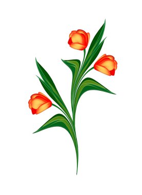 bahar çiçekleri beyaz arkaplanda izole laleler