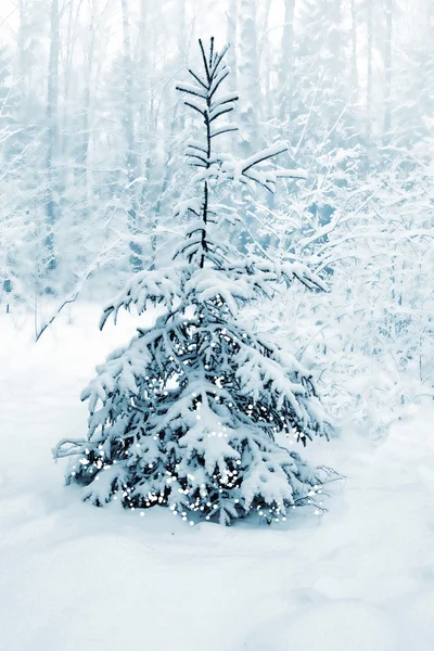 Zimní krajina. Zasněžené stromy — Stock fotografie