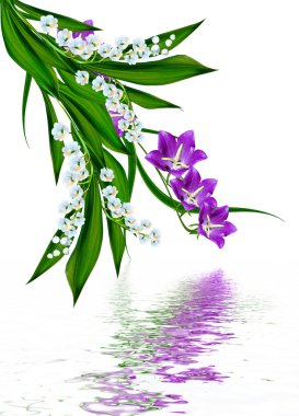 Beyaz arkaplanda izole edilmiş çan çiçeği