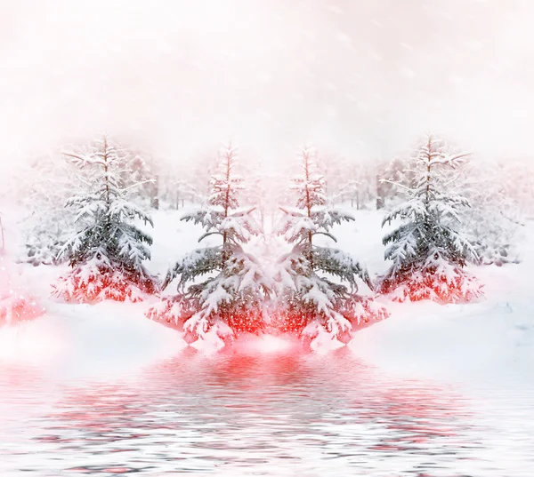 Zimowy krajobraz. Pokryte śniegiem drzewa — Zdjęcie stockowe