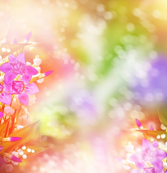 Bahar çiçekleri lily vadi, yatay — Stok fotoğraf