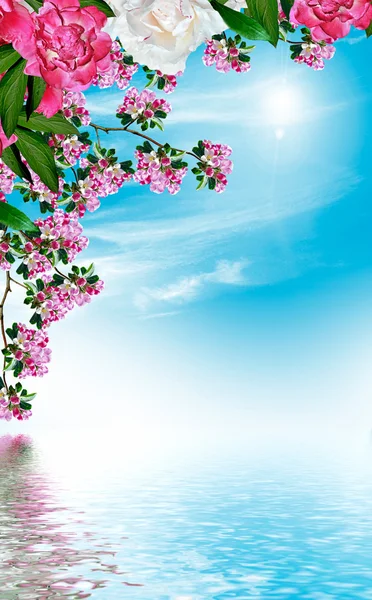 Весняний пейзаж. Фруктовий сад. цвітіння відділення — стокове фото
