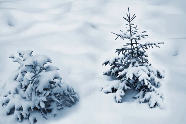 Winter bos. Winterlandschap. — Stockfoto