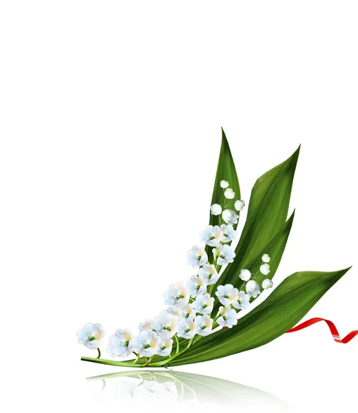 幽谷百合花朵的分支 — 图库照片