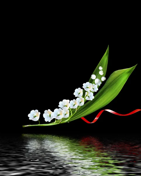 The branch of lilies of the valley flowers — Stock Photo, Image