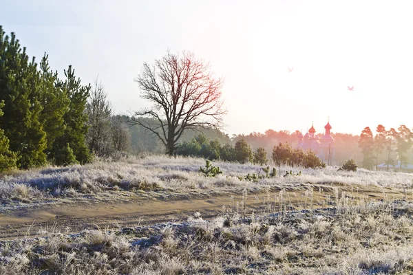 The road to the church. — Stock Photo, Image