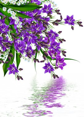 Beyaz arkaplanda izole edilmiş çan çiçeği