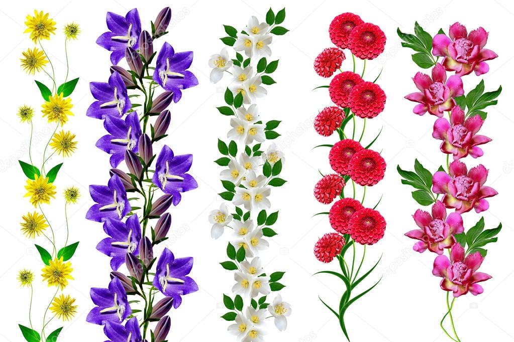 Flores de campanilla fotos de stock, imágenes de Flores de campanilla sin royalties | Depositphotos Flores de campanilla fotos de stock, imágenes de Flores de campanilla sin royalties | Depositphotos