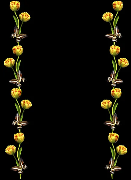 黒の背景に孤立した春の花チューリップ — ストック写真