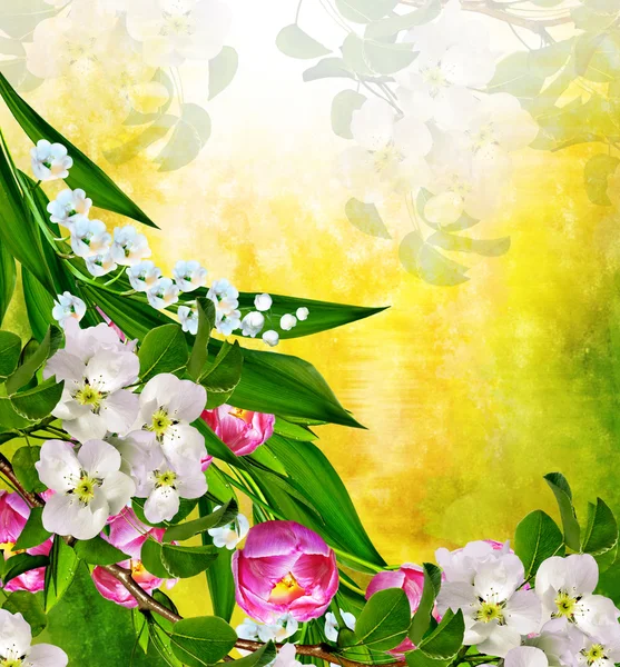 Frühlingslandschaft. Blütenbirne — Stockfoto