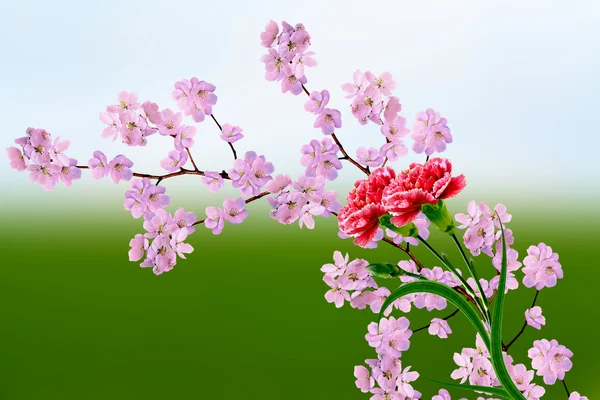 Spring flowering garden. — Stock Photo, Image