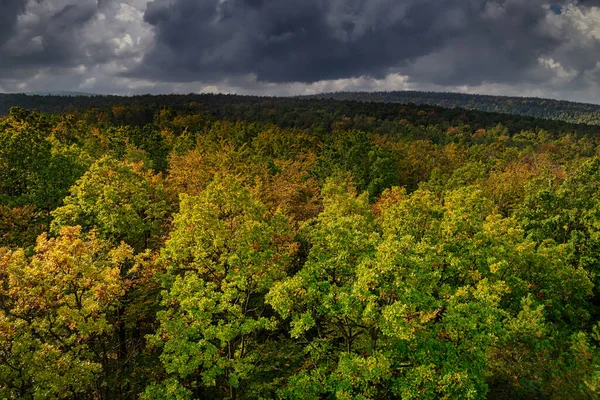 Bosque Caduco Otoño Árboles Con Hojas Coloridas Cielo Dramático —  Fotos de Stock