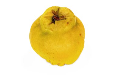 Ayva üstüne beyaz, meyveyi beyaz arkaplanda kapat