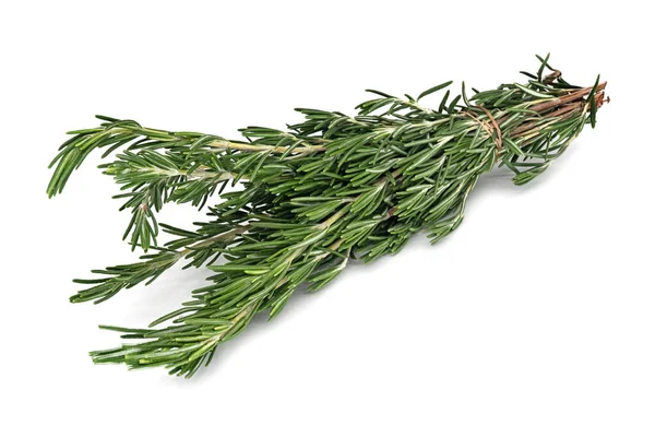 Rosemary Close Scented Herb White Background Stock Photo