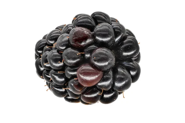 Blackberry Fruit Gros Plan Nourriture Sur Fond Blanc — Photo