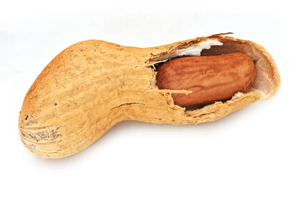 Peanut Close Dado Isolato Fondo Bianco — Foto Stock