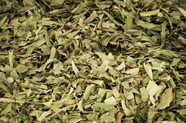 Kurutulmuş Tarhun Yaprakları, yakın çekim ve malzeme stüdyosu