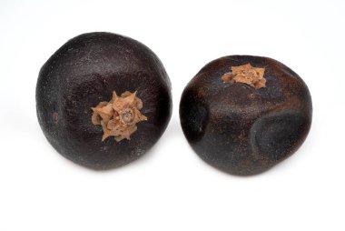 Ardıç meyveleri, yakın çekim ve stüdyo resmi.