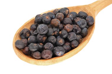 Ardıç meyveleri, yakın çekim ve stüdyo resmi.