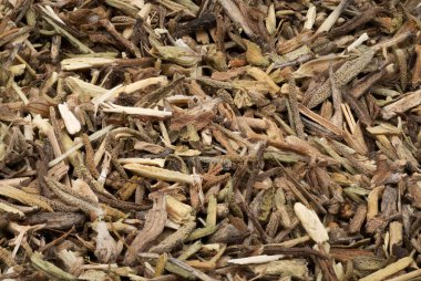 Thymus Kurumuş, yakın çekim ve malzeme stüdyosu