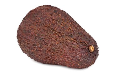 Avokado Fruit Close, beyaz arka planda tropikal meyvenin stüdyo çekimi