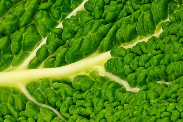 Gabbage Leaf Close Studio Shot Zielonych Warzyw — Zdjęcie stockowe