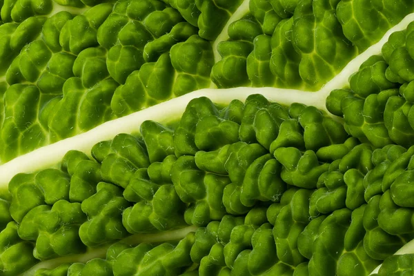 Gabbage Leaf Close Studio Shot Zielonych Warzyw — Zdjęcie stockowe