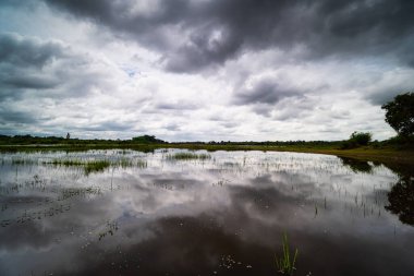 Manzara Yansıma Gölü, kümülüs bulutlu göl