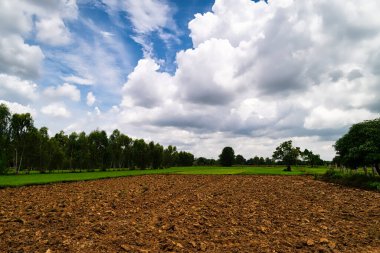 Kümülüs bulutlarıyla kaplı tarla, yazın tarım arazisi.
