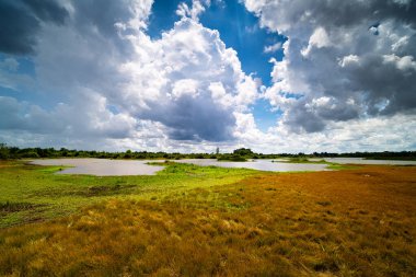 Manzara Idyllic Gölü ile, yazın doğa kümülüs bulutları ile