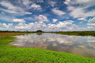 Manzara Idyllic Gölü ile, yazın doğa kümülüs bulutları ile