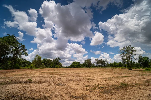 Landwirtschaft Feld Mit Wolken Landschaft Mit Kumuluswolken — Stockfoto