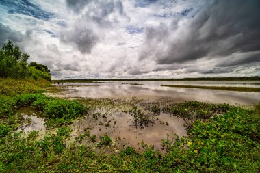 Manzara yansıma bulutları, kümülüs bulutlu cennet gibi su.