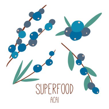 Acai çileği. Böğürtlenli ve beyaz yapraklı bir dal tasviri. Organik sağlıklı yiyecekler. Süper yemek. El çizimi düz stil vektörü. Doğal ürünleri detoks et