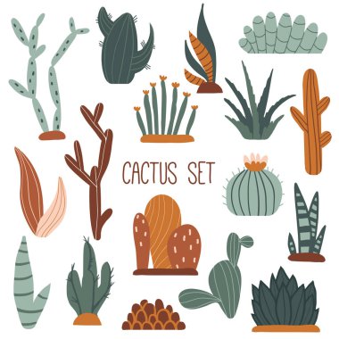 Meksika kaktüsü, aloe ve sulu su seti. Sevimli renkli el çizimi düz stil illüstrasyon. Çöl bitkileri, Meksika kaktüsü çiçeği, tropik ev çiçekleri. Botanik, çiçek vektörü beyaza izole edildi