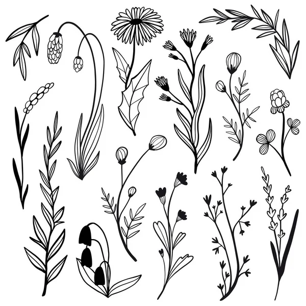 Conjunto Vectores Flores Blanco Negro Con Elementos Florales Garabatos Dibujados — Vector de stock