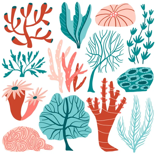 一组水下植物 藻类水草 热带珊瑚礁元素 涂鸦的海洋生物 海洋植物 海洋野生动物收集 平面手绘矢量插画 — 图库矢量图片