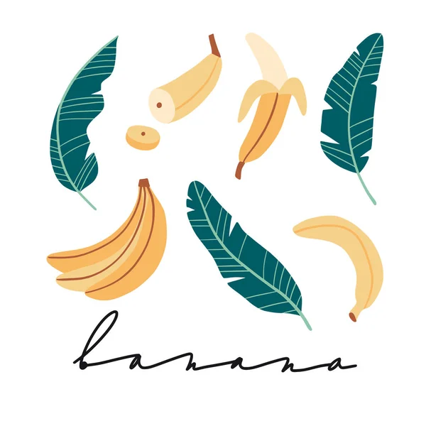 Bananowy Wektor Ustawiony Ręcznie Rysowane Abstrakcyjne Tropikalne Płaskie Egzotyczne Owoce — Wektor stockowy