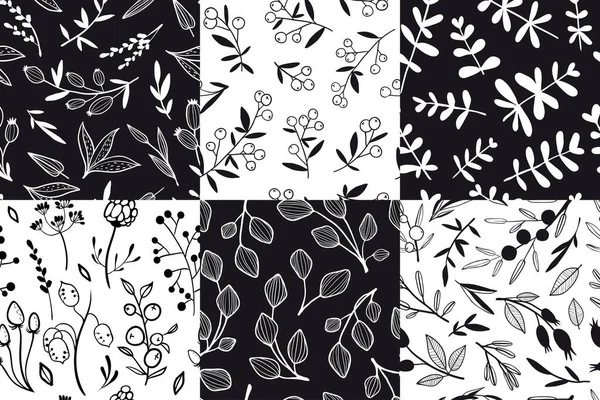 Set Von Nahtlosen Mustern Mit Handgezeichneten Umrissen Pflanzen Schwarz Weiße — Stockvektor