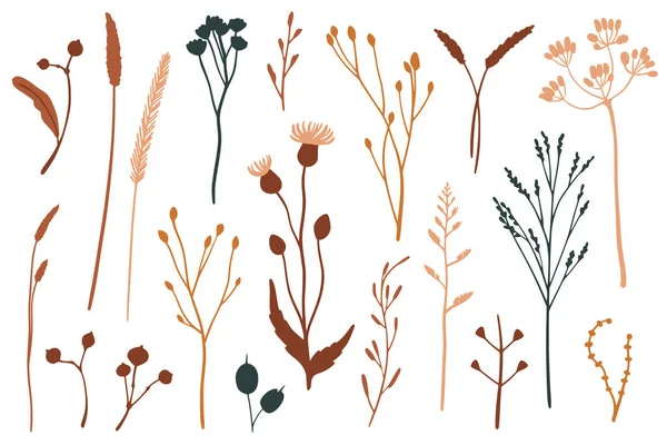 平らな花の要素のベクトルセット シンプルな秋のコレクション 花のシルエットグラフィックデザイン ハーブや野生の花 手描きベクトル植物セット 現代の秋の季節の装飾 — ストックベクタ