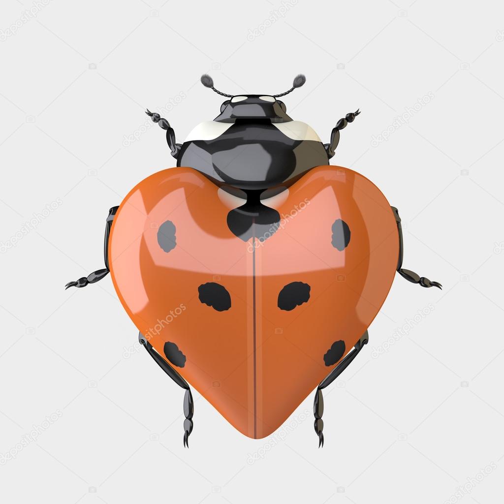 Heart shaped ladybug Ladybug Heart shaped Ladybug — Stock Photo