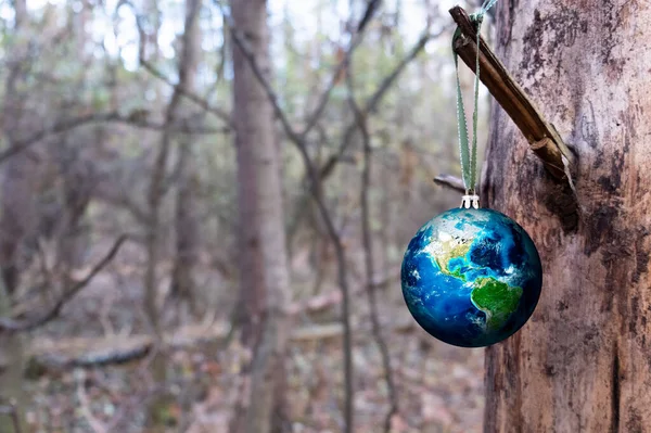 Eine Weihnachtskugel in Form einer Weltkugel wiegt auf einem trockenen Baum im Wald. — Stockfoto