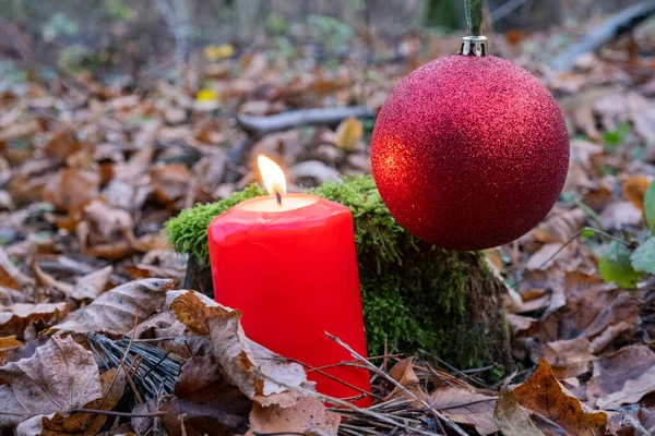 秋の森の中で苔を背景に赤いクリスマスボールでろうそくを燃やす. — ストック写真