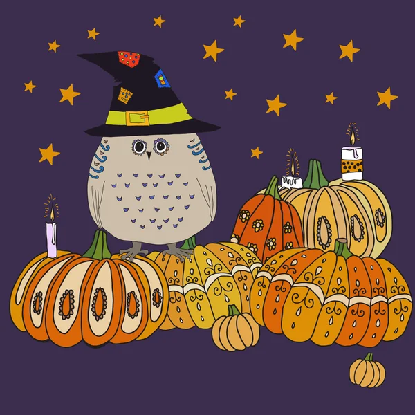 Halloween sfondo con zucche e un gufo in cappello — Vettoriale Stock