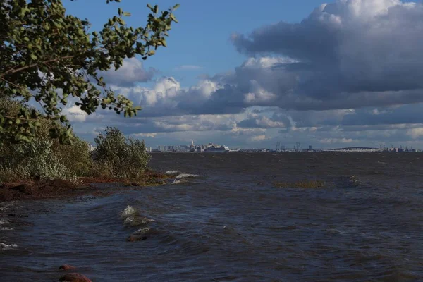 Koyun karşısındaki bir şehirde gökdelenler, bir köprü ve bir gemi var..