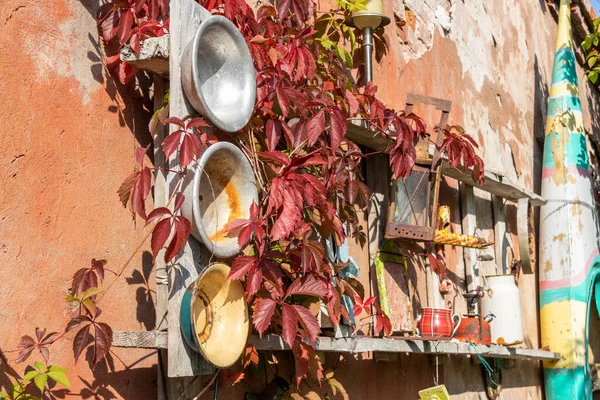 Terk edilmiş bir evin turuncu duvarında eski merdivenler, alüminyum kaseler ve kırmızı sarmaşık.