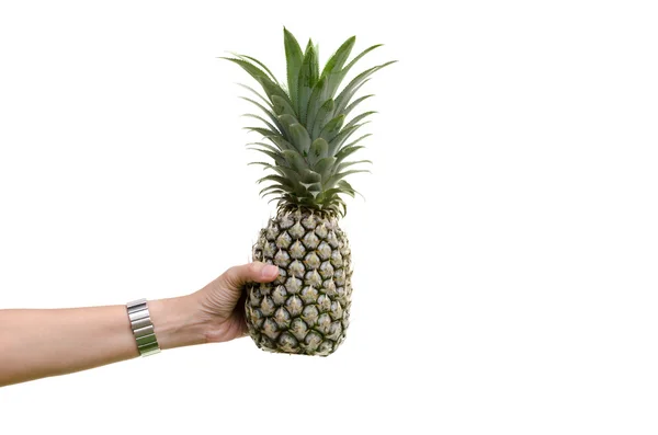 Hand ananas geïsoleerd — Stockfoto