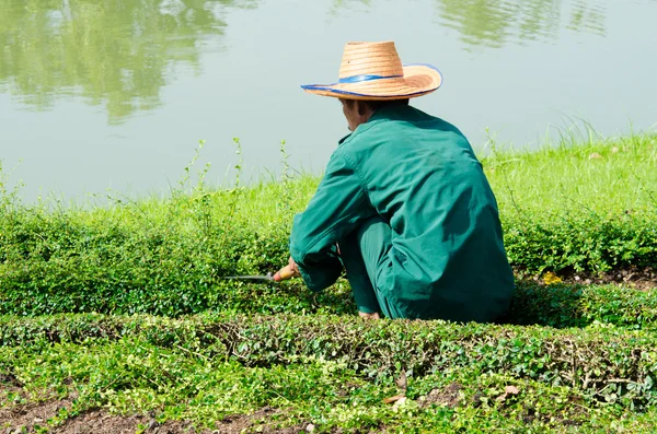 Il giardino di taglio — Foto Stock