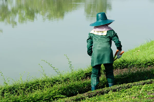 The Cutting Garden — Stock Photo, Image